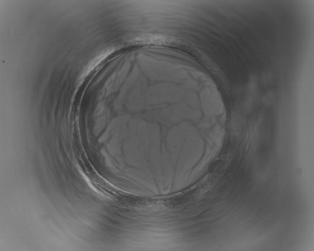 X0000076100674200610202136