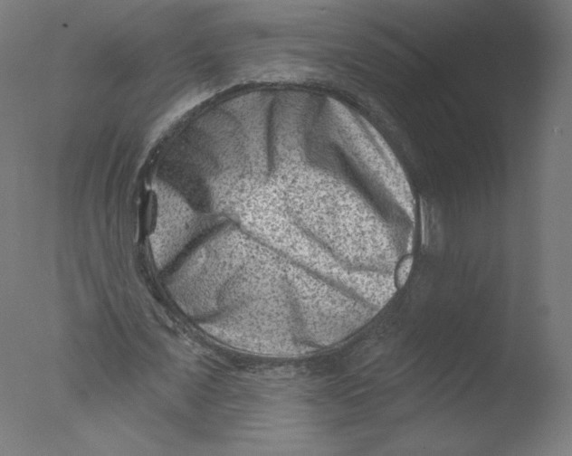 X0000076100675200610202136