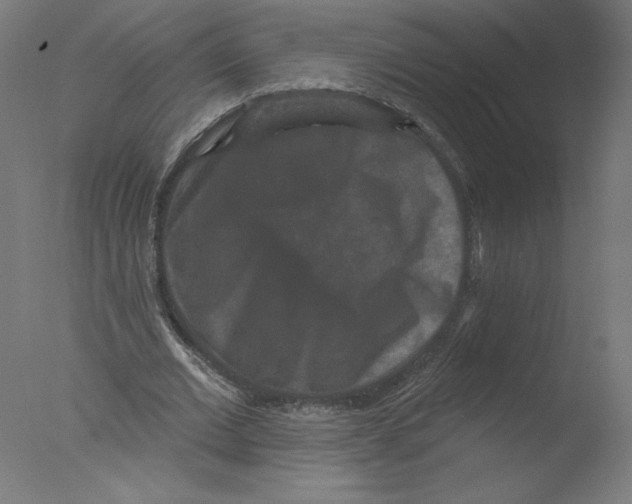 X0000076100677200610202136