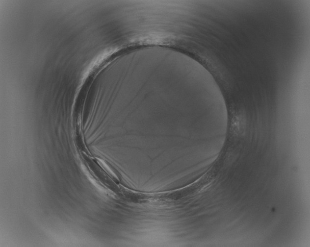 X0000076100678200610202136