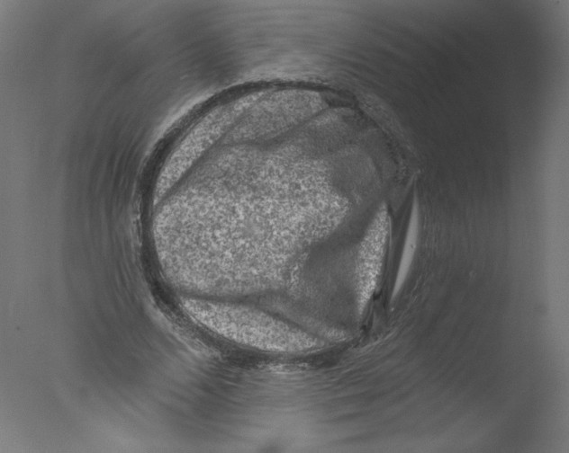 X0000076100680200610202136