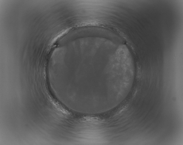 X0000076100681200610202136