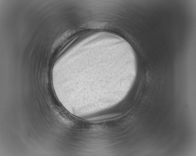 X0000076100682200610202136