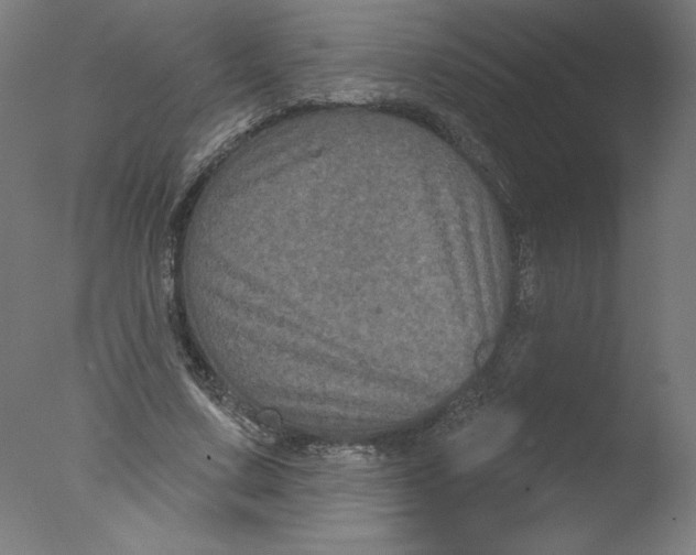 X0000076100683200610202136