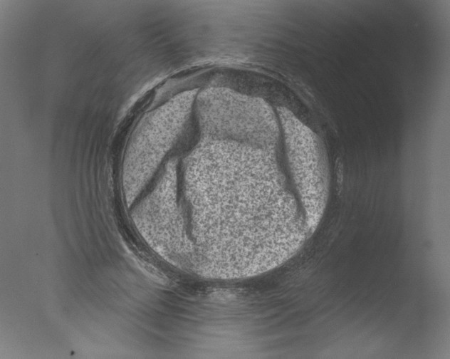 X0000076100684200610202136