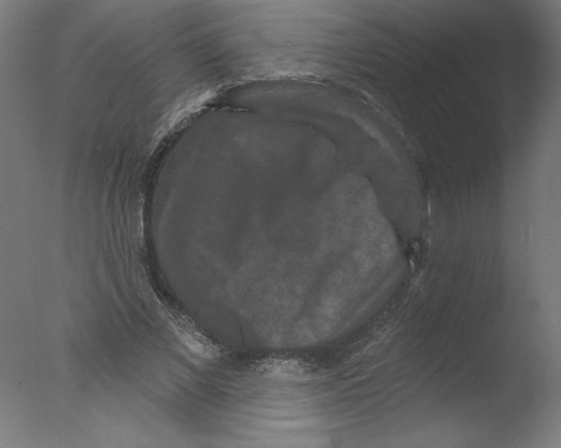 X0000076100685200610202136