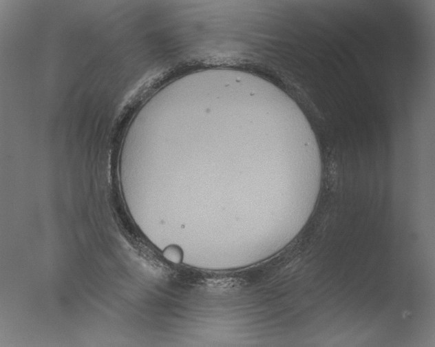 X0000076100686200610202136