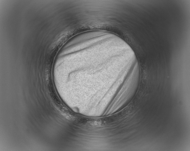 X0000076100687200610202136