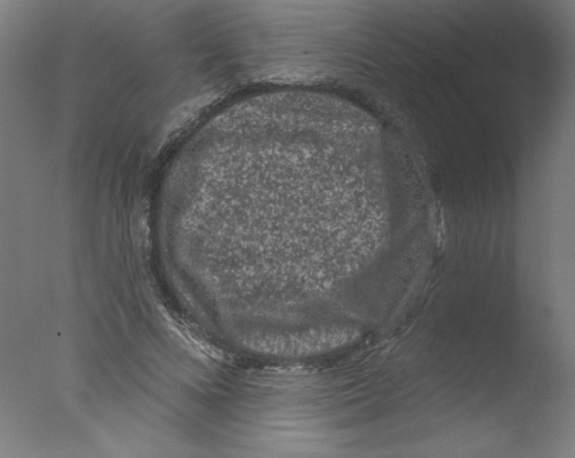 X0000076100688200610202136