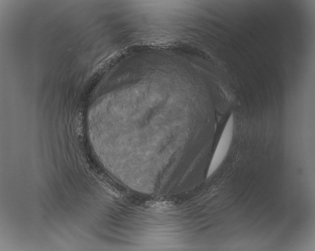 X0000076100689200610202136