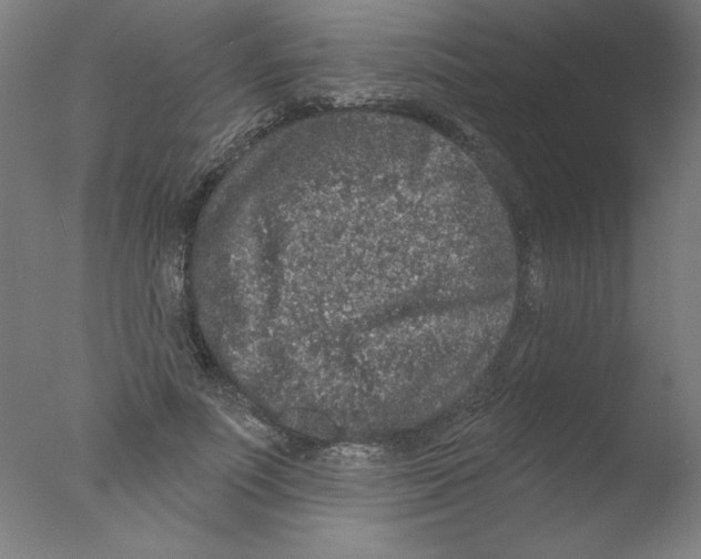 X0000076100691200610202136