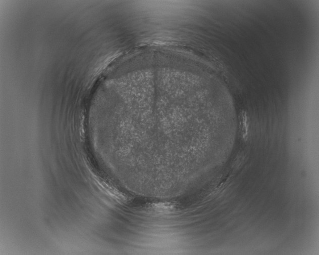 X0000076100692200610202136