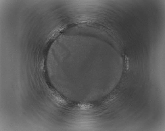 X0000076100693200610202136