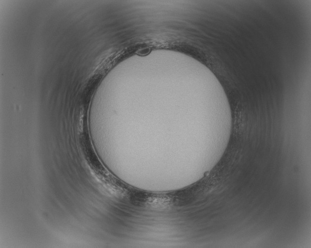 X0000076100694200610202136