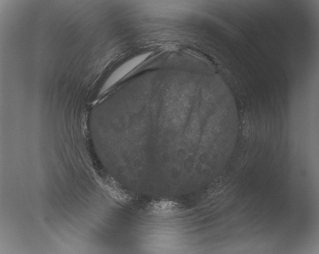 X0000076100695200610202136