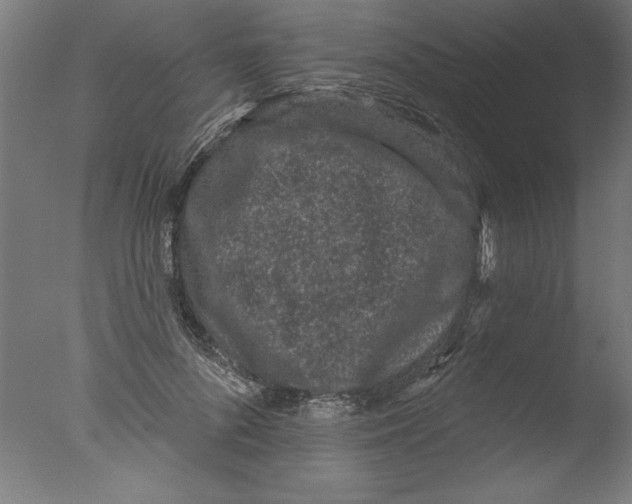 X0000076100696200610202136