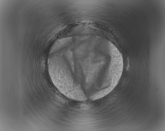 X0000076100697200610202136