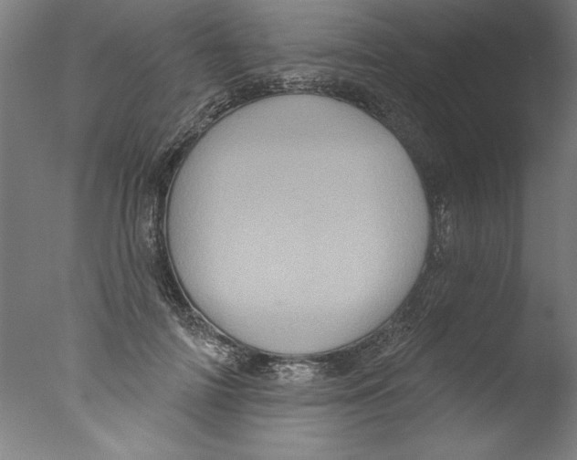 X0000076100698200610202136