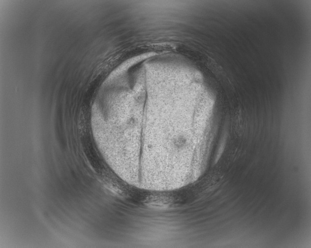 X0000076100699200610202136