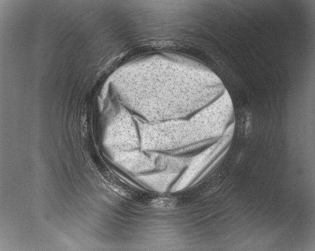 X0000076100700200610202136