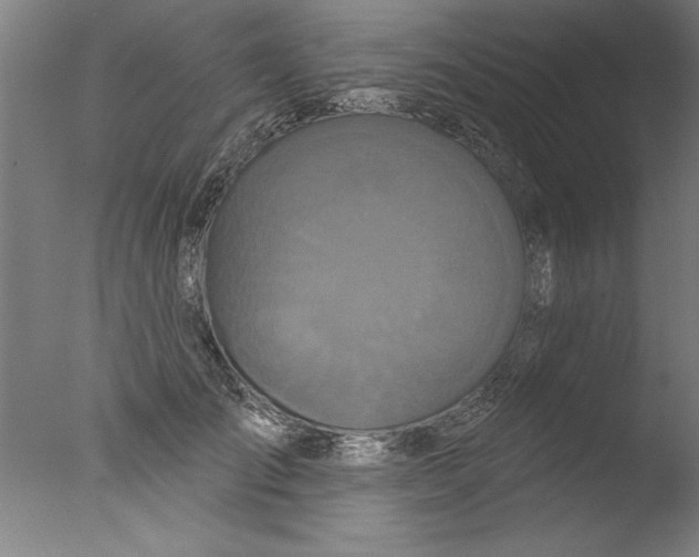 X0000076100701200610202136