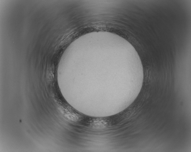 X0000076100702200610202136