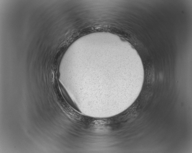 X0000076100703200610202136