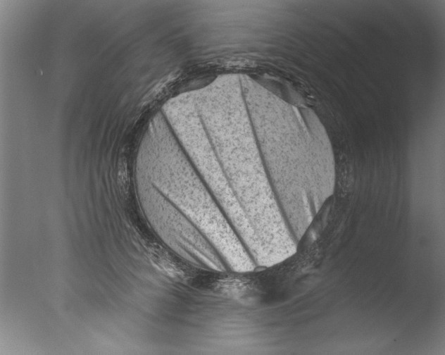 X0000076100704200610202136