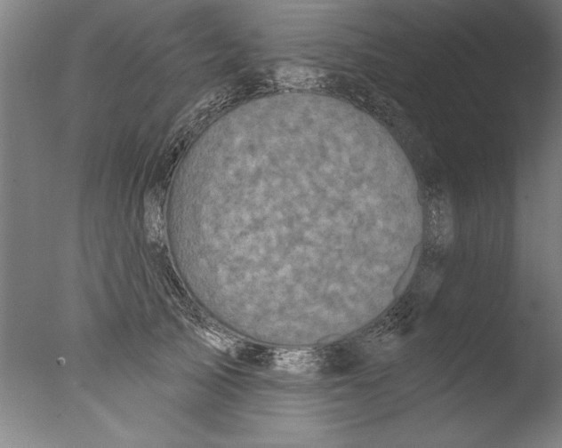 X0000076100705200610202136