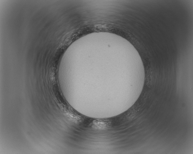 X0000076100706200610202136