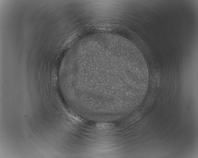 X0000076100707200610202136