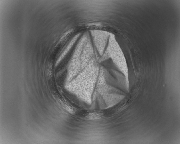 X0000076100708200610202136