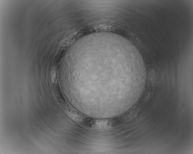 X0000076100709200610202136