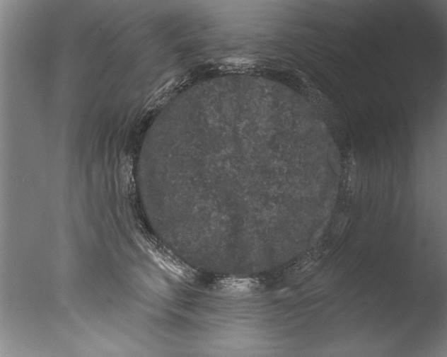 X0000076100711200610202136