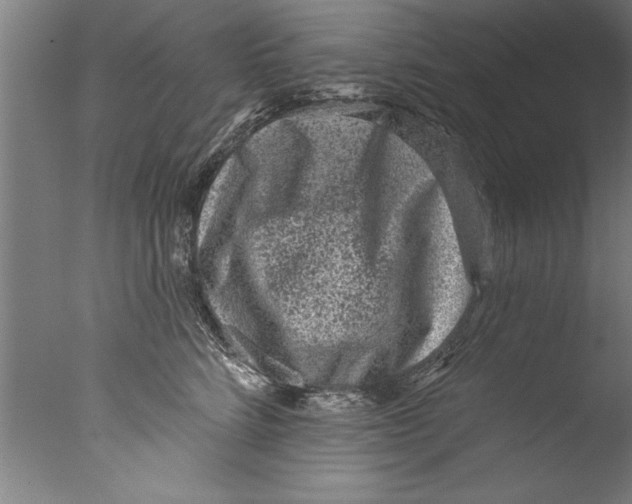 X0000076100712200610202136