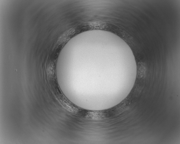 X0000076100713200610202136