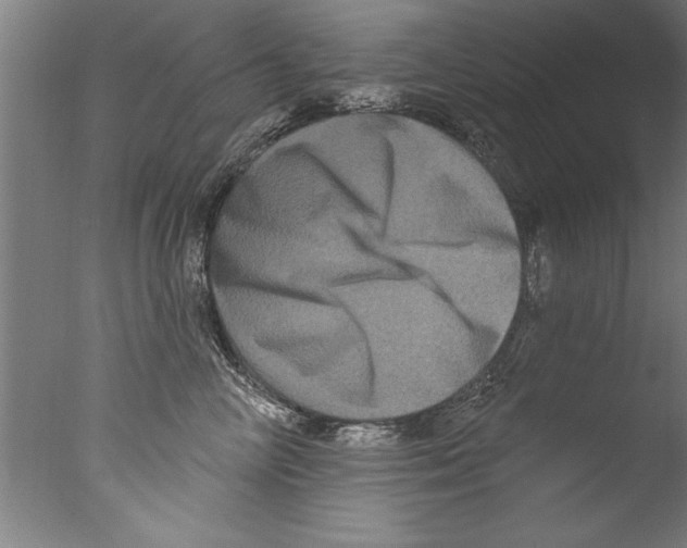 X0000076100714200610202136