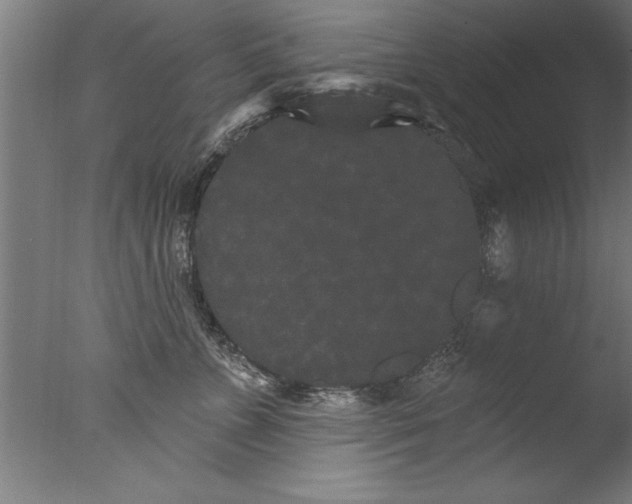 X0000076100715200610202136