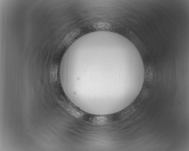 X0000076100717200610202136