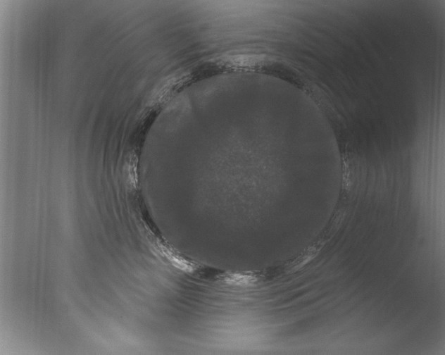 X0000076100718200610202136