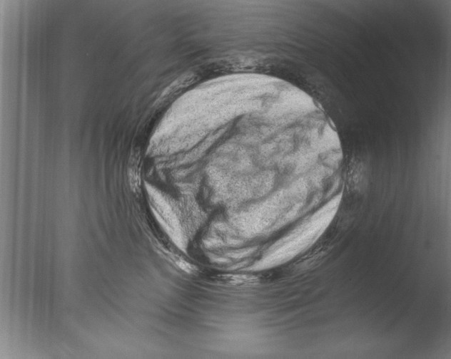 X0000076100719200610202136