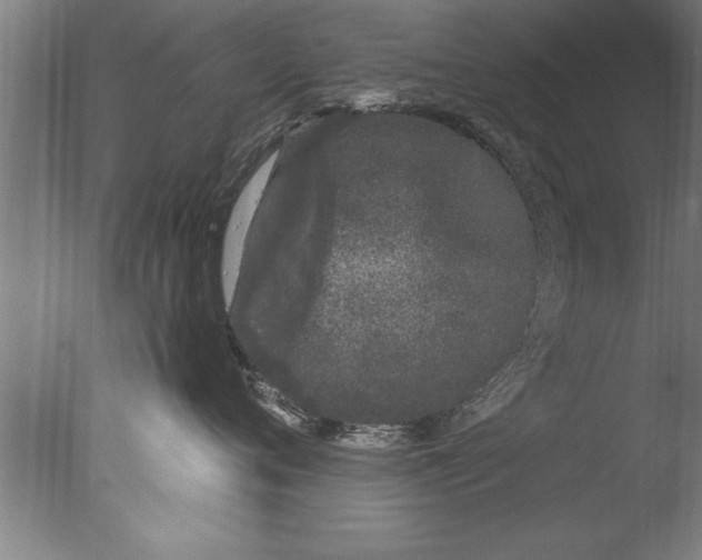 X0000076100720200610202136