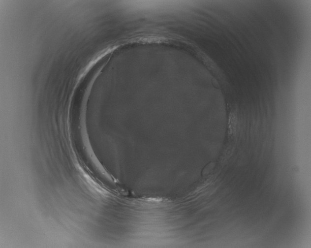 X0000076100722200610202135