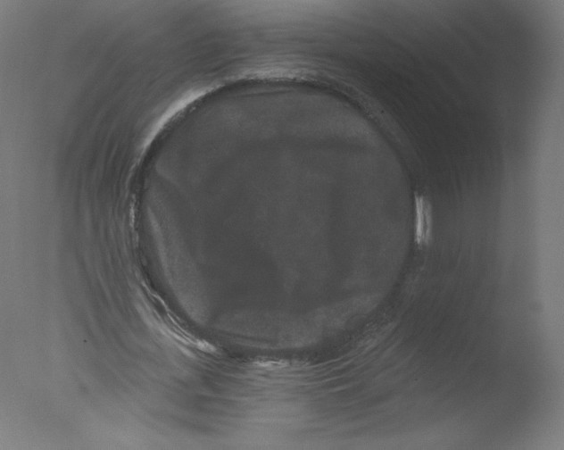 X0000076100723200610202135