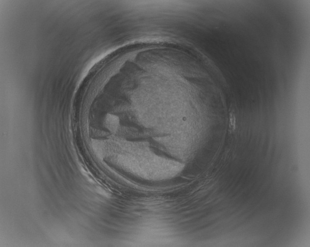 X0000076100724200610202135