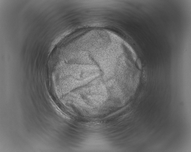 X0000076100725200610202135