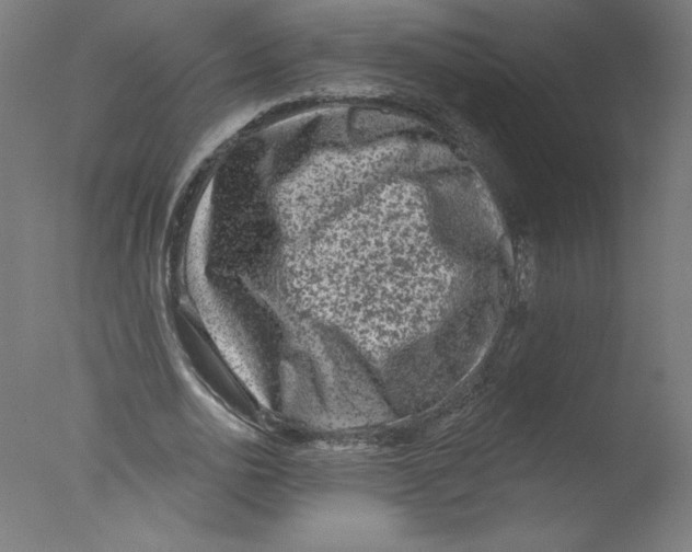 X0000076100726200610202135