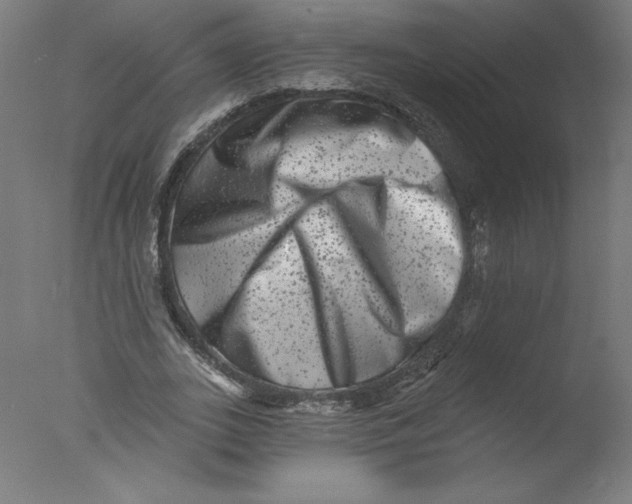 X0000076100727200610202135