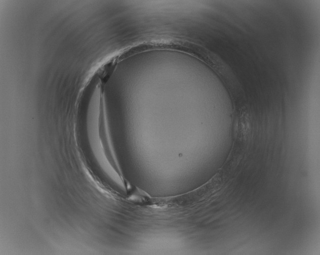 X0000076100728200610202135