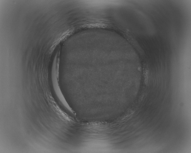 X0000076100729200610202135